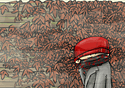 Thumbnail of #214
