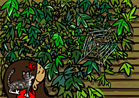 Thumbnail of #188